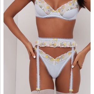 NWT VS For Love and Lemons Garter Belt
